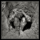 Illustration for article titled From Irritable Heart to Shellshock: How Post-Traumatic Stress Became a Disease